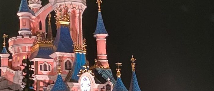 Kasteel Disneyland eigen foto